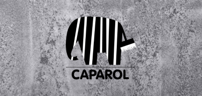 Caparol Armareno 700 - niezwykła zaprawa renowacyjna